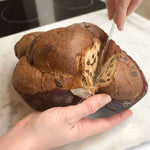 Nuvolona Choc Zero: dolce proteico al cioccolato per dieta chetogenica, con solo 0,3 g di zuccheri per porzione.