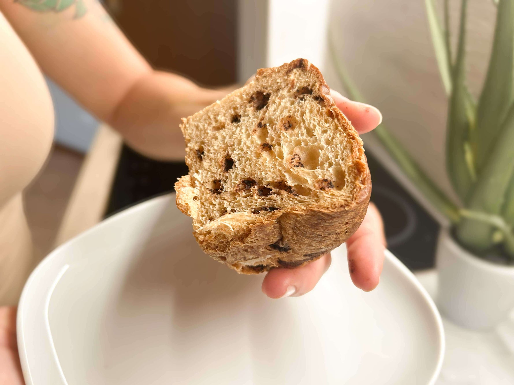 Nuvolona Choc Zero: dolce proteico con gocce di cioccolato fondente, adatto a dieta chetogenica.